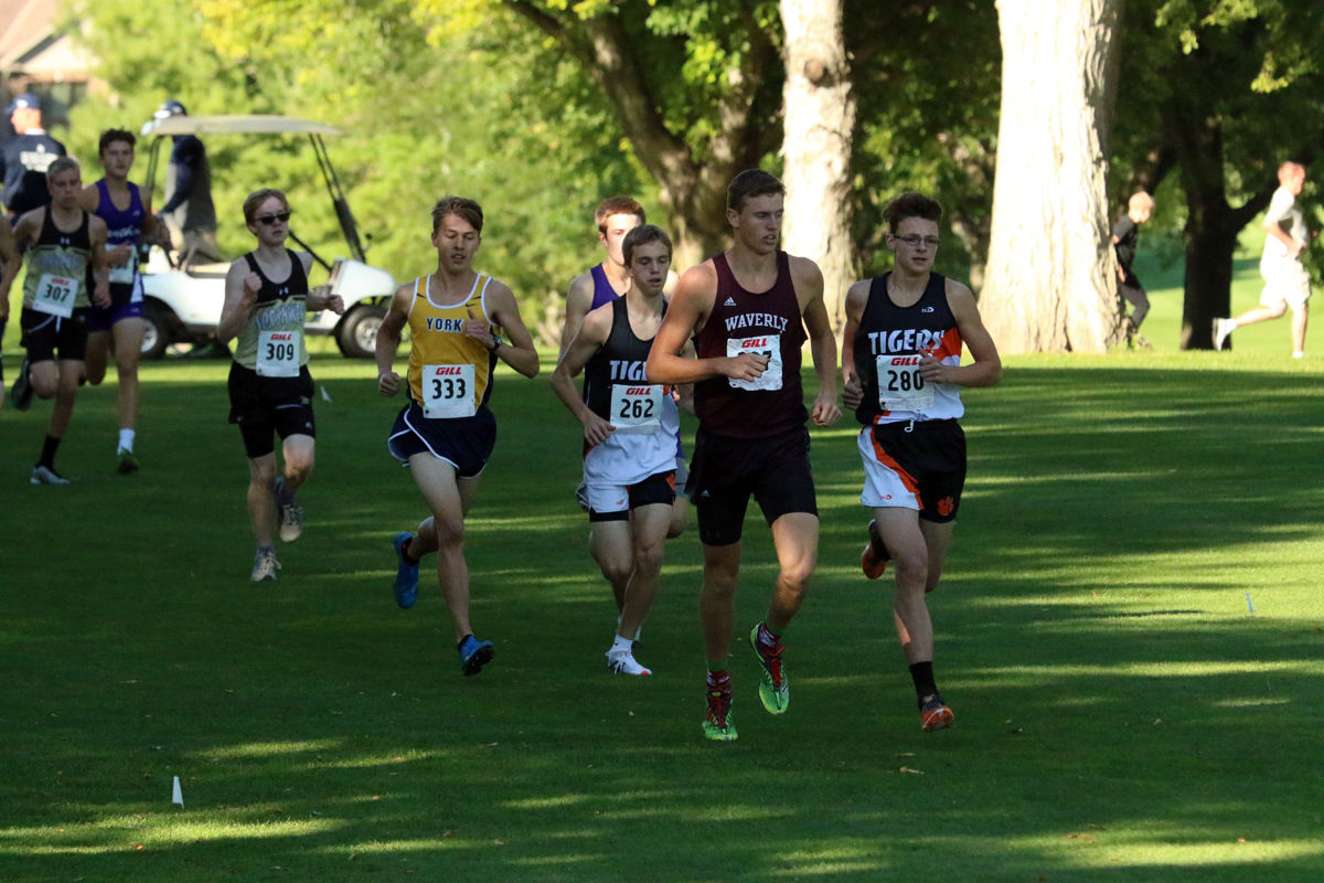 York Cross Country Invite (28).jpg